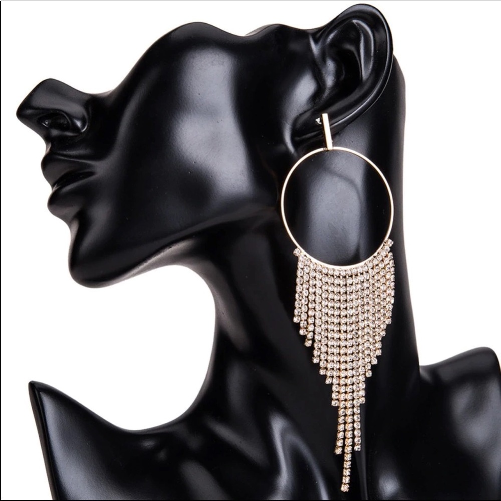 Crystal Tassel Hoop Statement Earrings - Picture 2 of 8